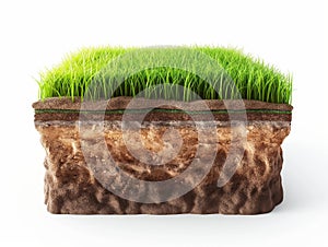 Cross-section of Soil Layers with Grass