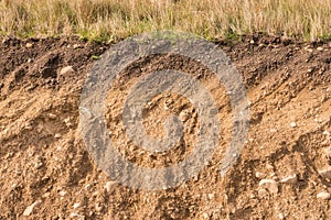 Cross section of soil layers with grass on top