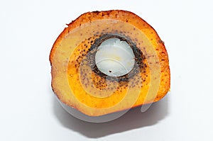 Cross section of tenera fruit of oil palm photo