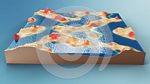 Cross section topographic 3D map with water. Contour lines on a topographic map. Studying the geography of the area