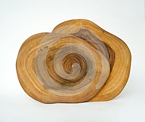 Cross Section of 2 Tree Rings