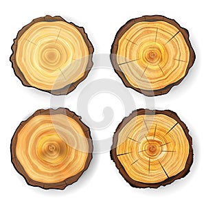 Cross Section Tree Set Wooden Stump Vector. Circles Texture Isolated. Tree Round Cut With Annual Rings