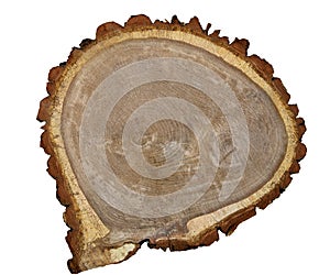 Cross section of a tree trunk with growth rings, for displaying perfumes, jewelry and beauty products, isolated on a transparent