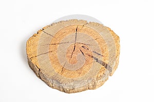 Cross section of a tree trunk with growth rings on white background. Close-up