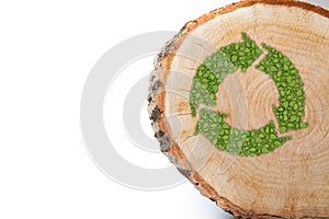 Cross section of tree trunk with recycle symbol