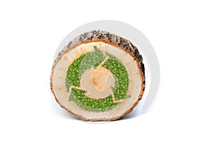 Cross section of tree trunk with recycle symbol