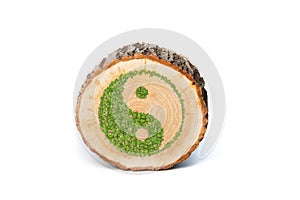Cross section of tree trunk with Ying yang symbol