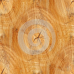 Cross section of trunk as a seamless background