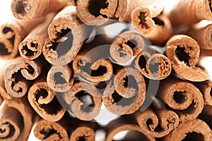 Cross section view of Raw Organic Cinnamon sticks (Cinnamomum verum).