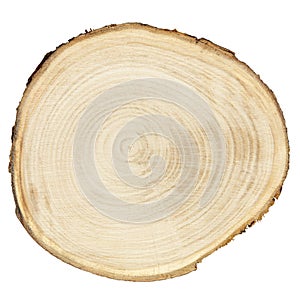 Cross section of wood