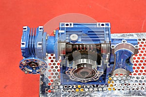 cross section of worm gear pump