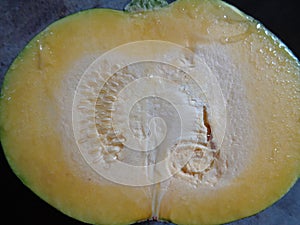 Cross sectional view of a Pumpkin
