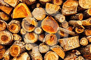 Cross sectional wooden log pile background, construction material or interior concept