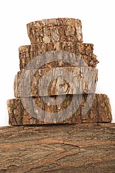 Cross sections of tree trunk isolated on white background