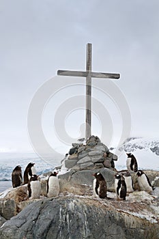 Cross at the site where the British wintering and Gentoo penguin