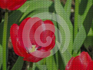 Cross-stitch. Bright scarlet tulip flower on a green background of sheets