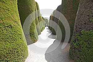 Municipal cemetery in Punta Arenas, Chile photo