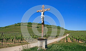 Cross in a vineyard photo