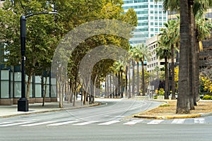 Cross walk in silicon valley san jose with pam trees and background buildings in late afternoon shade and sun in city