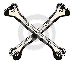 Crossbones illustration photo