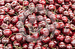 A pile of Lapins cherries.