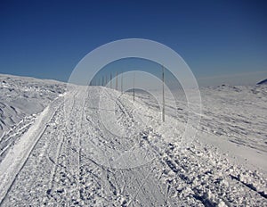 Crosscountry skiing route marked with wooden sticks photo