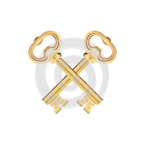 Crossed Golden Keys isolated on white Background. Vector