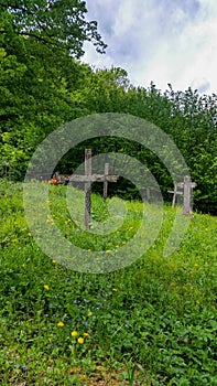 Crosses in the forgotten cemetery