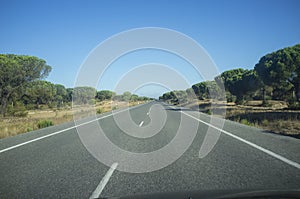 Crossing Donana Natural Park by N-442 road, Spain photo