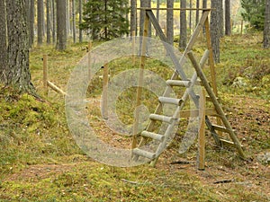 Crossing through electric fence in nature reserv in Stockholm Sweden photo