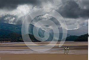 Crossing the Estuary