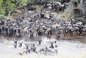 Crossing the Mara