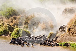 Crossing the Mara River