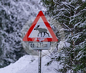 Crossing moose warning sign on the side of a road