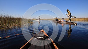Crossing okavango delta in Botswana by using mokoro