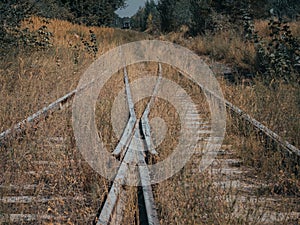 Crossing old rails. Overgrown grass rails.