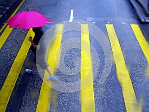 Crossing the Road in the Rain