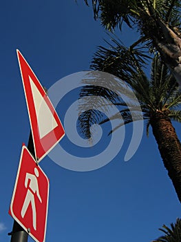 Crossing sign and palm trees