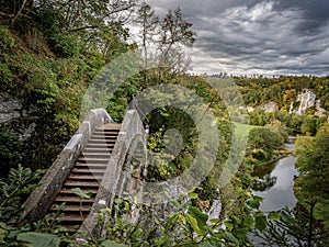 Crossover bridge on the river surrounded by greens and trees under the cloudy sky in the park