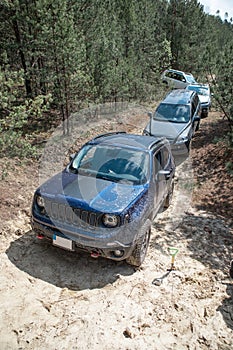 crossovers group at sandy trail in forest