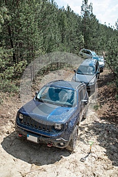 crossovers group at sandy trail in forest