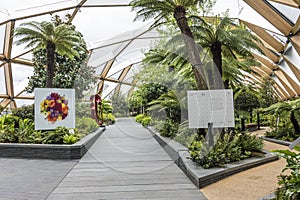 Crossrail Place Roof Garden in Canary Wharf, London