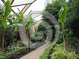 Crossrail Place roof garden in London