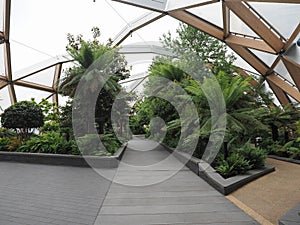 Crossrail Place roof garden in London