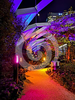 London, UK - January 2020: A night view of the illuminated Crossrail Place Roof Garden in Canary Wharf, London