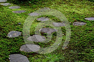 Stone way in moss in Japanese garden