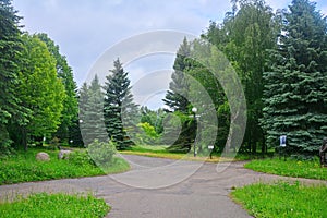 Crossroads in Dendrology garden in Pereslavl-Zalessky city