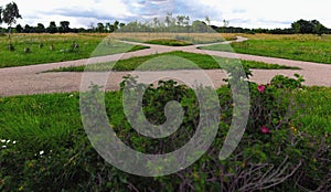 Crossroads and intersections of various wide and narrow gravel paths stretched away into the distance among expanses of green