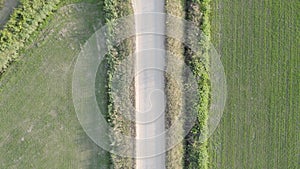 Crossroads in Nature: Aerial View of a Rural Path