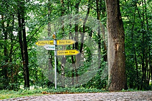 Crossroads with sign posts in road through beech woodland in Rugen Island
